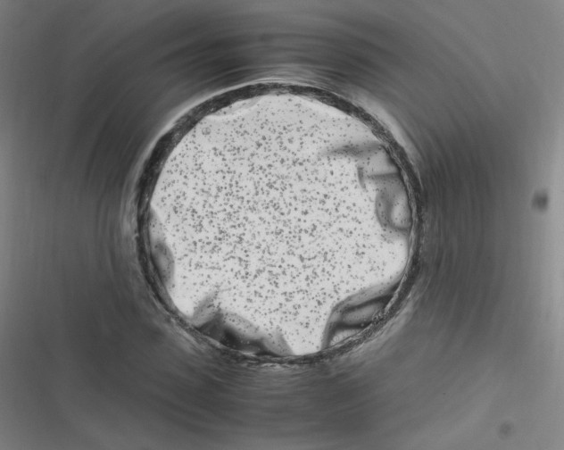 X0000116840923201001081455