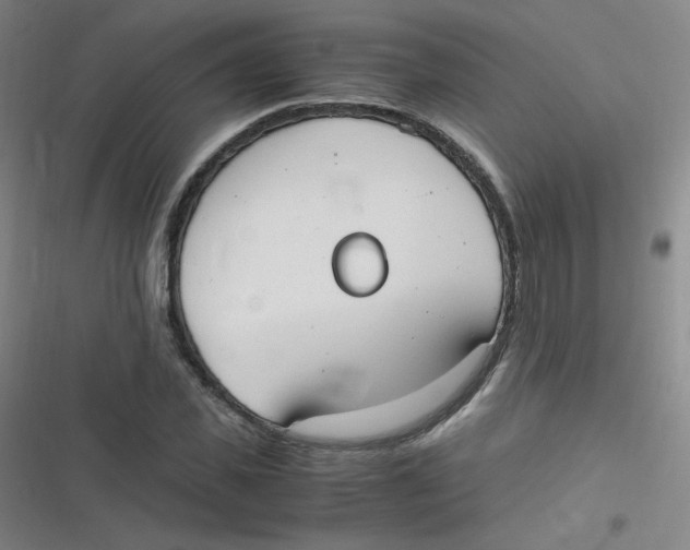 X0000116840925201001081455