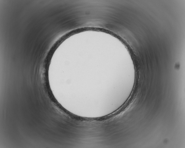 X0000116840926201001081455