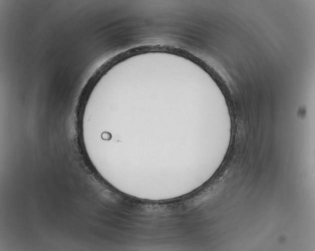 X0000116840927201001081455