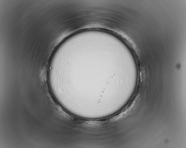 X0000116840929201001081455