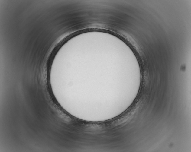 X0000116840931201001081455