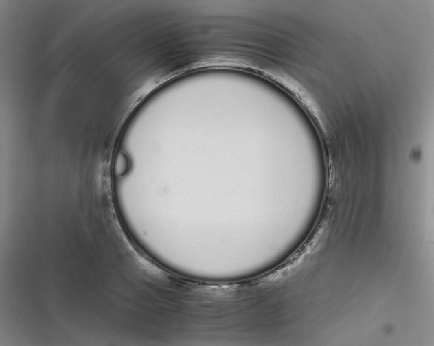 X0000116840937201001081455