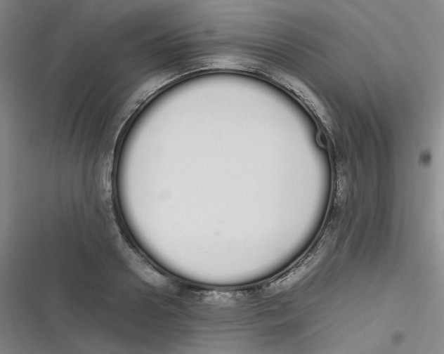 X0000116840938201001081455