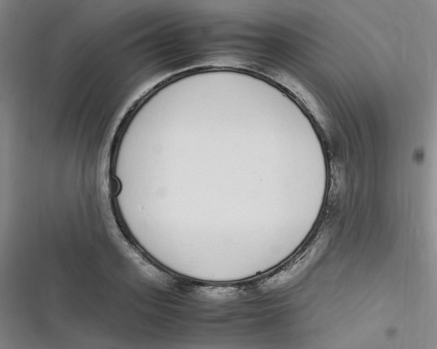 X0000116840939201001081455