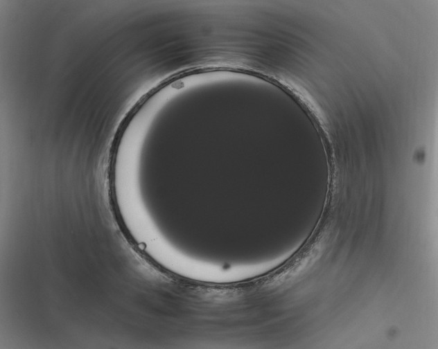 X0000116840941201001081456