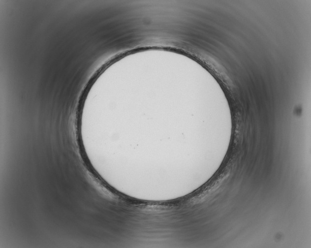 X0000116840942201001081456