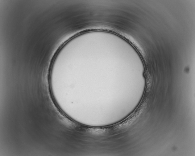 X0000116840943201001081456