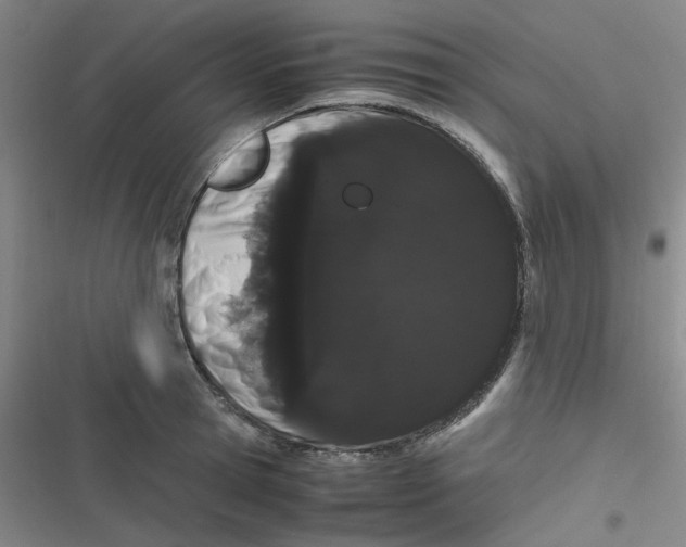 X0000116840945201001081456