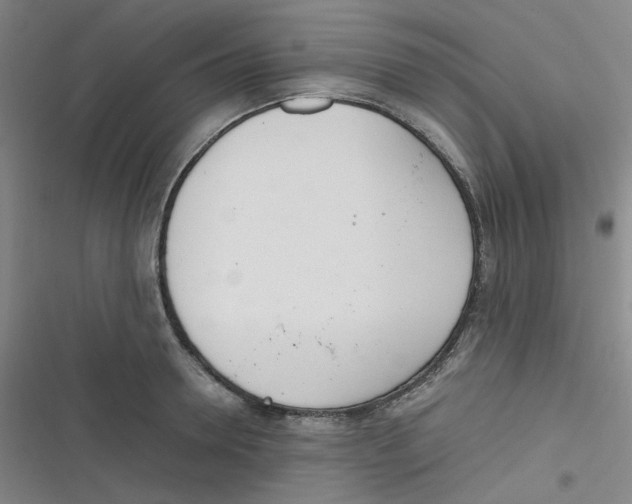 X0000116840946201001081456