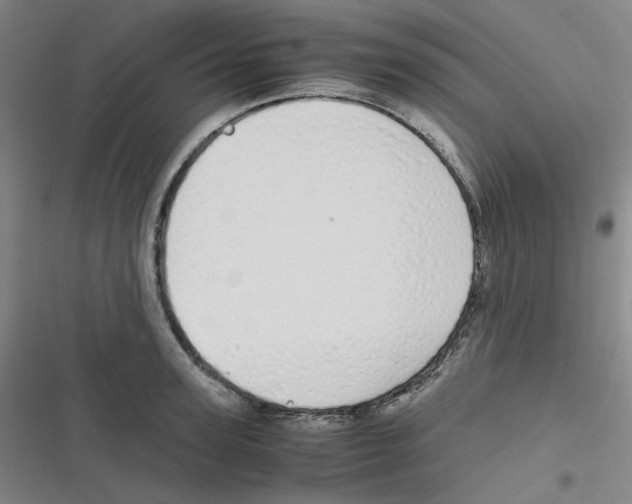 X0000116840947201001081456