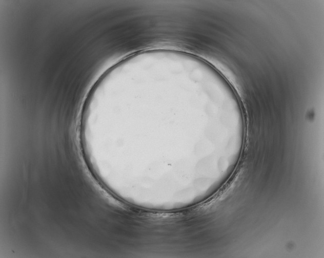 X0000116840949201001081456