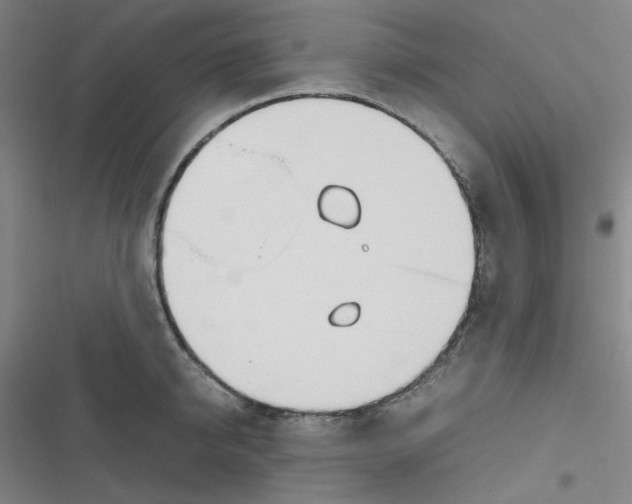 X0000116840950201001081456