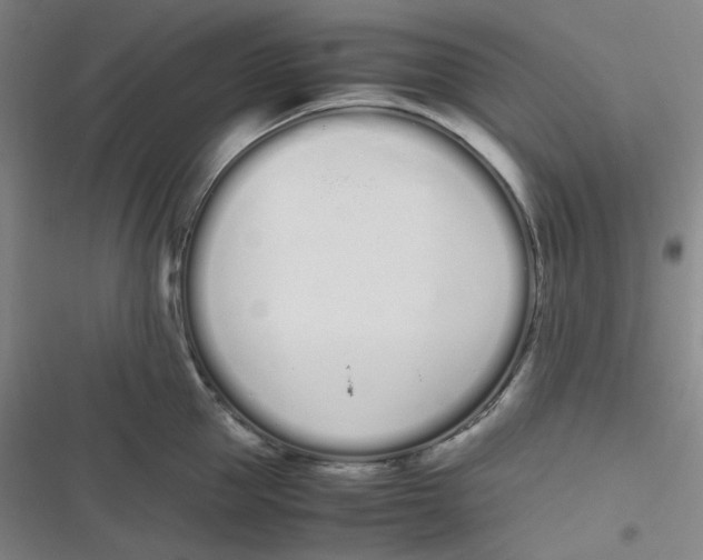 X0000116840953201001081456