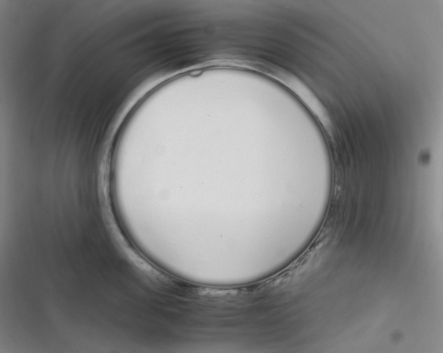 X0000116840955201001081456