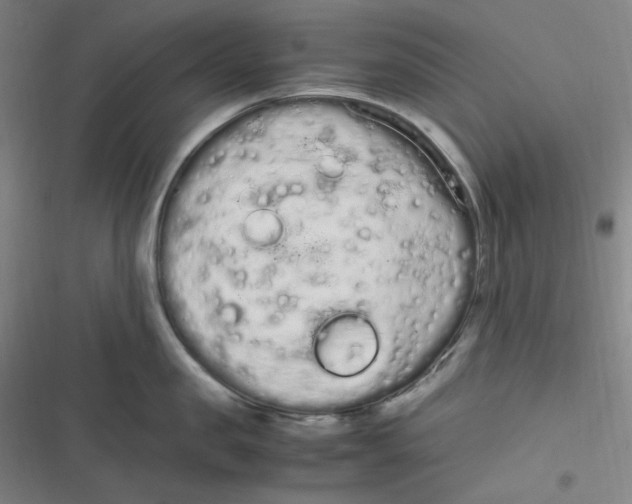 X0000116840957201001081456