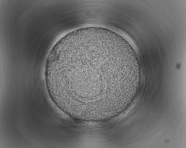 X0000116840958201001081456