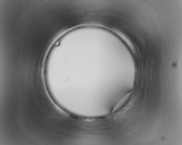 X0000116840959201001081456