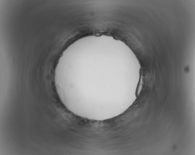 X0000116840961201001081455