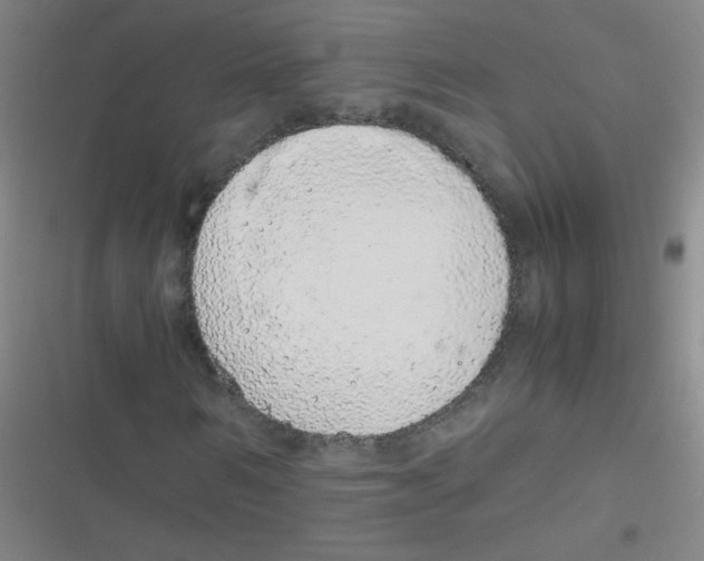 X0000116840962201001081455