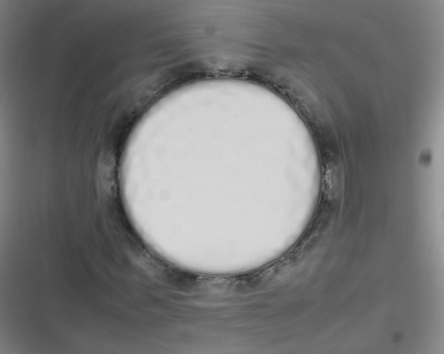 X0000116840963201001081455