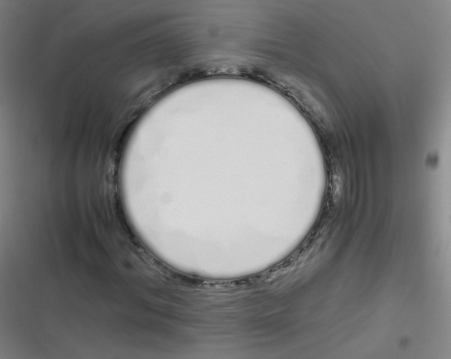 X0000116840964201001081455