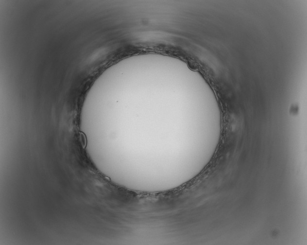 X0000116840965201001081455