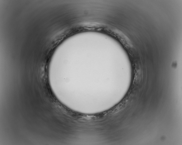 X0000116840966201001081455