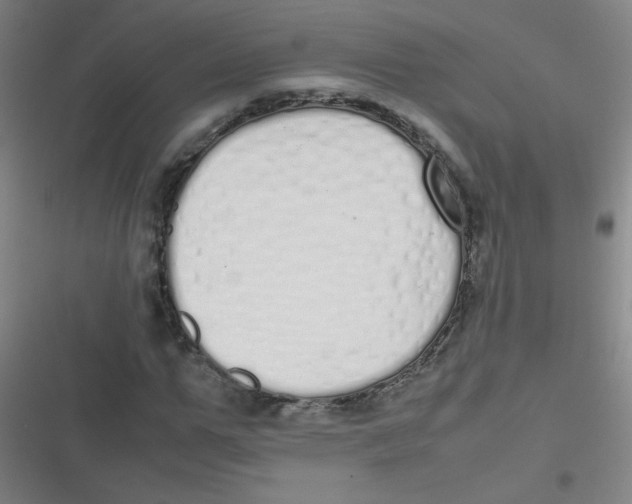 X0000116840967201001081455