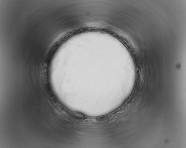 X0000116840968201001081455