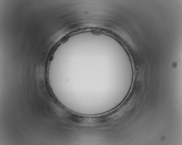 X0000116840969201001081455