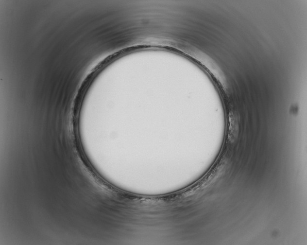 X0000116840972201001081455