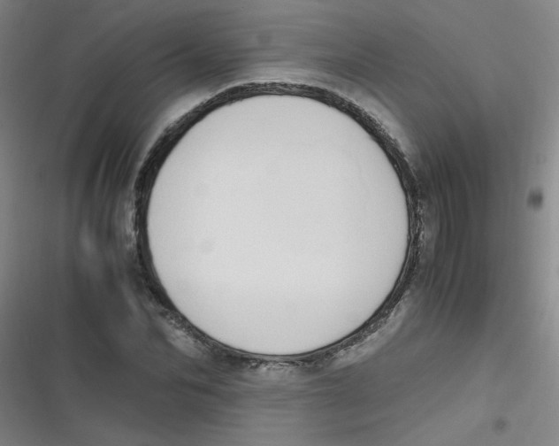 X0000116840974201001081455