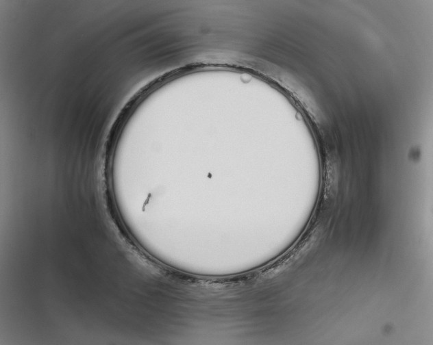 X0000116840976201001081455