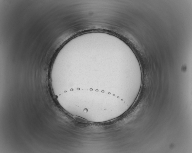 X0000116840977201001081455