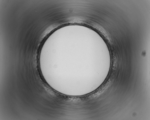 X0000116840978201001081455