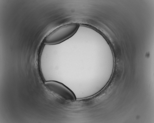 X0000116840981201001081455