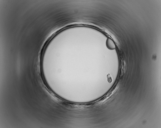 X0000116840982201001081455