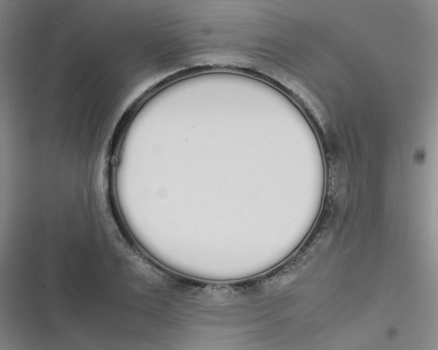 X0000116840983201001081455