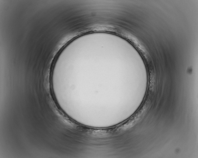 X0000116840986201001081455