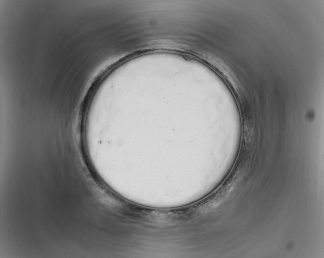 X0000116840987201001081455