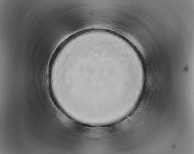 X0000116840988201001081455