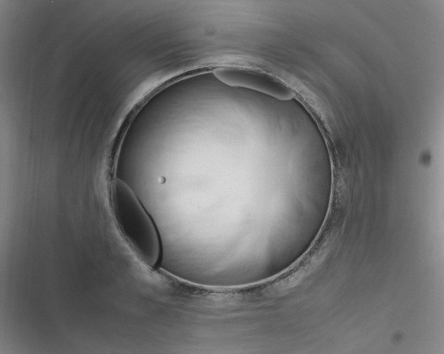 X0000116840989201001081455