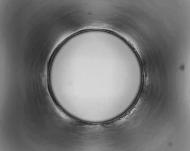 X0000116840990201001081455