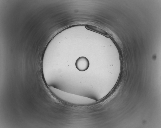 X0000116840993201001081455