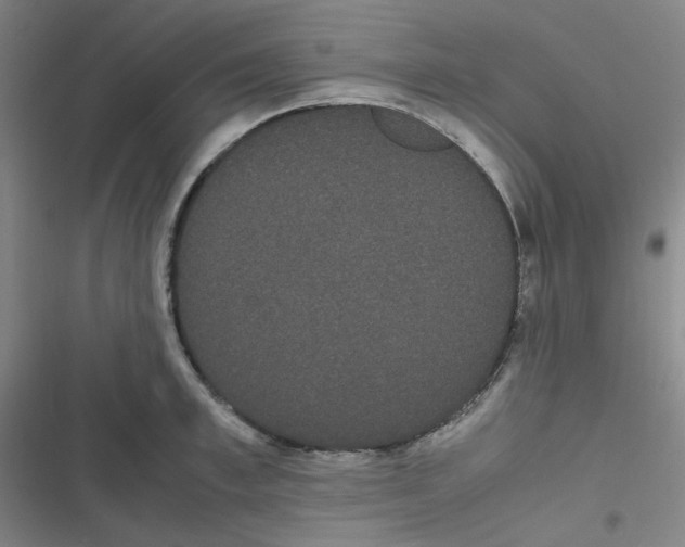 X0000116840997201001081455