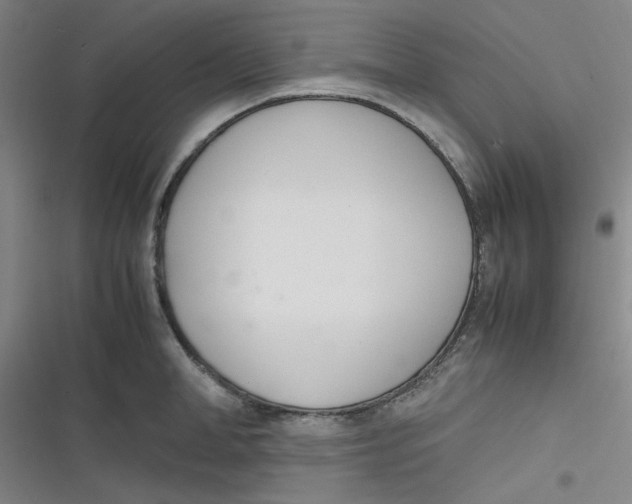 X0000116840998201001081455