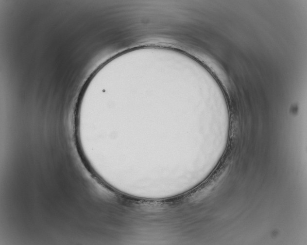 X0000116840999201001081455