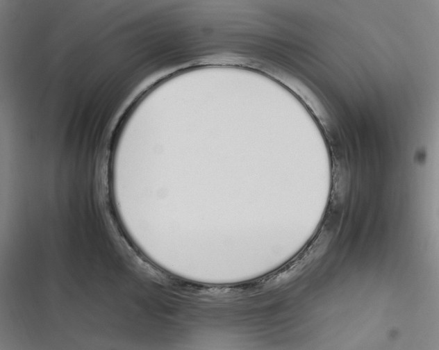 X0000116841000201001081455