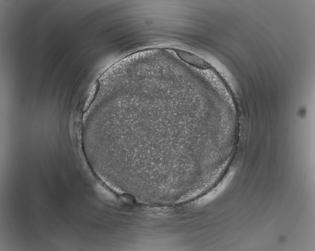 X0000116841001201001081455